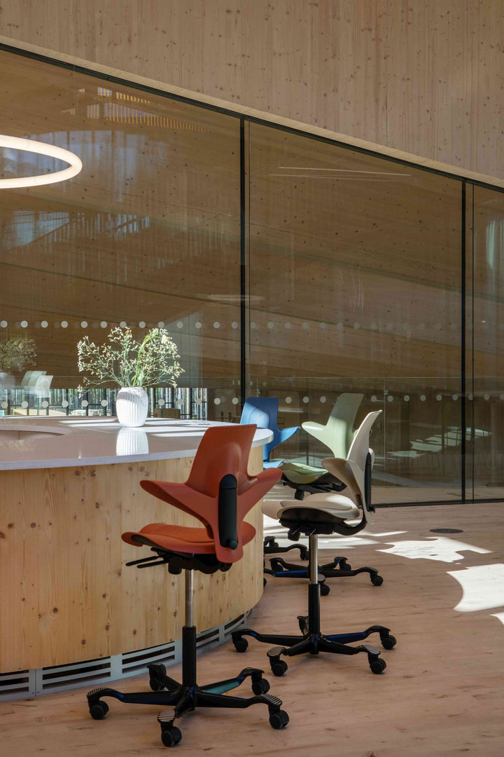 Arbeitsstuhl Capisco Puls 8010 von HAG