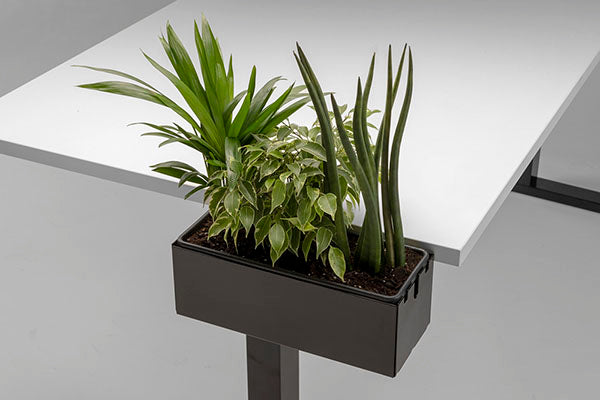 Blumenkasten aus Kunststoff