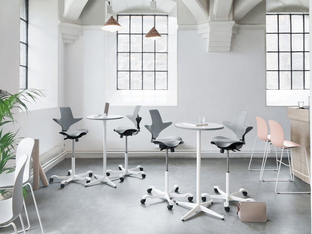 Arbeitsstuhl Capisco Puls 8010 von HAG