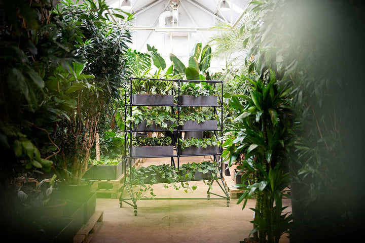 Raumteiler GardenParti auf Rollen 74466 von System 180