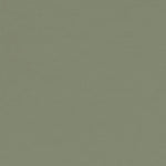 4184 Olive