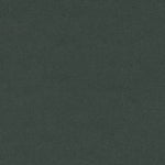 4174 Conifer