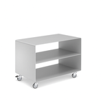 RAL 9006 weißaluminium