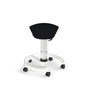 Aeris Swopper Standard mit Rollen (Hartboden)