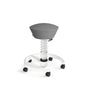 Aeris Swopper Standard mit Rollen (Hartboden)
