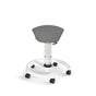 Aeris Swopper Standard mit Rollen (Hartboden)