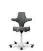 Arbeitstuhl Capisco 8106 von HAG