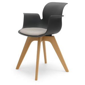 Pro Armchair Viersternholzgestell von Flötotto